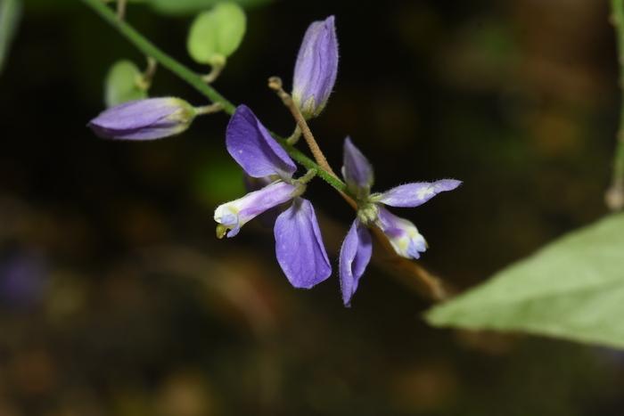 4985a593900844a2855c4398954d603c base image